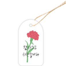 Donna&deco 禮物包裝紙吊牌 + 棉繩套裝 康乃馨, 白色, 100套