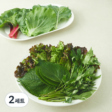 당귀 품은 모듬쌈 6종, 2세트, 300g