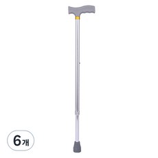 Dr.펠리스제이 가벼운 목발 어르신 지팡이, 실버, 6개