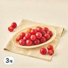 흙살림 친환경 인증 방울토마토, 600g, 3개
