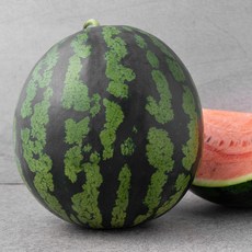 한반도 양구 당도선별 하우스 수박, 6kg 이상, 1개