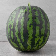 한반도 양구 당도선별 하우스 수박, 7kg 이상, 1개