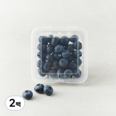 곰곰 유기농 블루베리(대과), 100g, 2팩