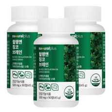 내츄럴플러스 혈행앤 징코 브레인, 90정, 3개