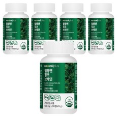 내츄럴플러스 혈행앤 징코 브레인, 90정, 5개