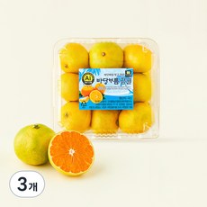바당보름 AI 당도선별 감귤, 3개, 800g(로열과)