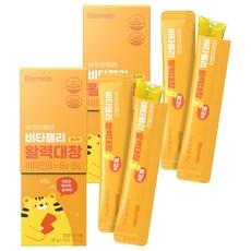 바이오메라 젤리스틱 비타 활력대장 망고맛, 300g, 2개