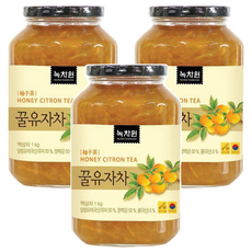 NOKCHAWON 綠茶園 蜂蜜柚子茶 1公斤, 含有豐富果肉, 口感飽滿, 適合冷沖或熱泡, 1kg, 1入, 3罐