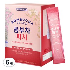 라이프허브 콤부차 피치, 5g, 30개입, 6개
