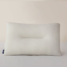 하우지안 엘라 기능성 메모리폼 경추 베개, 아이보리, 1개