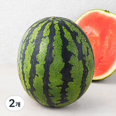 산지직송 드림팜 못난이 수박, 5kg 이상, 2개