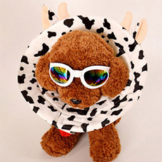 도그아이 강아지 고양이 깔대기 넥카라 젖소 3호, 3호-젖소, 1개