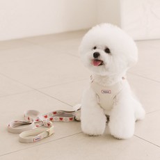 PETSLAND 狗狗愛心pop胸背帶+免持牽繩組, 1組, 香草奶油白