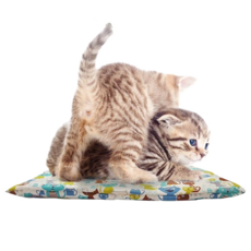 HEALING TIME PET 趣味遊樂場 沙沙聲貓咪坐墊, 隨機出貨, 選擇/單一商品