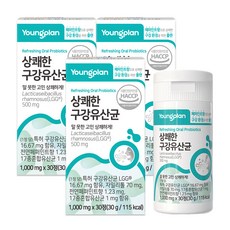 영진약품 상쾌한 구강유산균, 30정, 3개