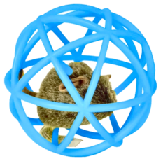 PET ZONE 吱吱聲老鼠貓草球, 1個, 藍色