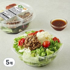 샐러드g 소불고기 샐러드, 170g, 5개