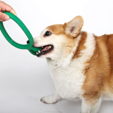 DING DONG PET Dog Tug Self 牙刷, 綠色, 1個