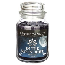 르미에 라지자 캔들, 인더문라이트, 570g, 1개