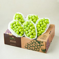 산들이랑 비파괴당도선별 샤인머스켓 4~7수, 1개, 4kg