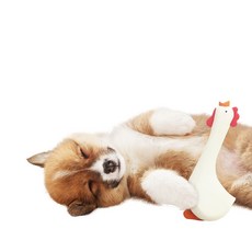 UNITED PETS 小雞造型狗狗乳膠玩具, 白色的, 1個