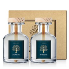 베르도 차량용 방향제 150ml 2p, 블루밍데이, 1세트