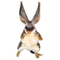 兔耳袋狸手偶, 1種, 1個