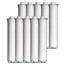 IOnpOLIS 大林衛浴 蓮蓬頭相容除氯除鏽身體過濾器, 10個