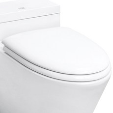 아메리칸스탠다드 D자형 특대형 변기커버, 백색, 1개, 1개