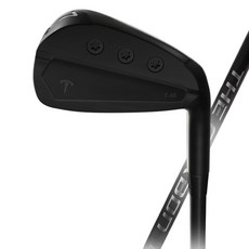 布萊克提 男用 許碩Pro的 The Carbon 鐵桿 T-10 7號 BLACK, 29度, X