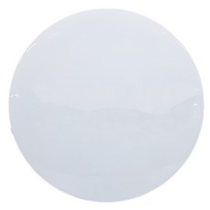 TRUNK 壯格 75W LED 遙控調光調色吸頂燈 CL58075A-07, 白色