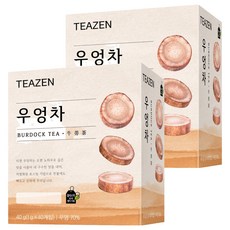 티젠 100세 시대 청춘비법 우엉차, 1g, 40개입, 2개