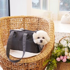 개과천선 강아지 레일리 이동가방, 다크 그레이, 1개