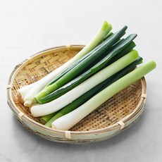 국내산 절단 손질대파, 500g, 1봉