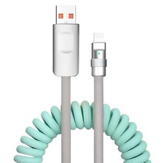Other Us 捲線式 Lightning 高速充電 Type-A to Lightning 傳輸線, 65cm, 1個, 薄荷綠