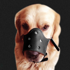 皮革狗嘴套S號, 黑色的, 1個