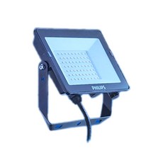 PHILIPS 飛利浦 LED 戶外投光燈 防水 50W 6500K 晝光, 1個