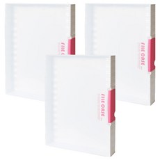 HICKIES A4 半透明文件盒 大型 FC03, 混合顏色, 3個