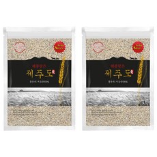 진생영농조합법인 국내산 해풍맞은 제주도 호라산밀, 2kg, 2개