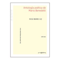 마리오 베네데티 시선(큰글자책), 지식을만드는지식