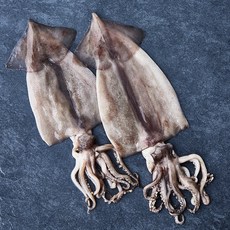 부산 13번 중매인 산지직송 해동 손질 오징어 (냉장), 240g, 1개