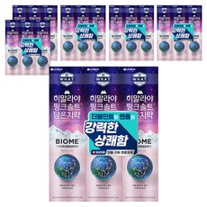 히말라야핑크솔트 담은 바이옴 잇몸 구취전문 치약, 160g, 18개