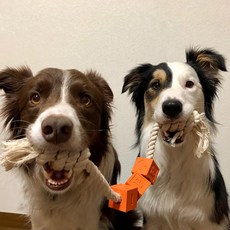 LaROO Brick Tugrof 狗拖輪遊戲, 1個