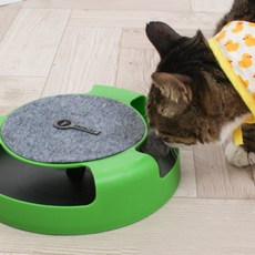 PETRONG 貓鼠玩球, 綠色, 1個