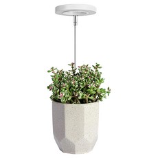 AHOYE 天使環全光譜植物生長燈/植物燈, 1個