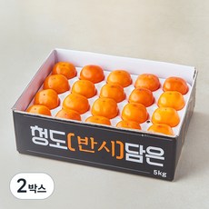 다조은 청도 반시, 5kg(36~40입), 2박스