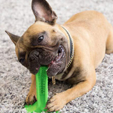 MYDOG Dog Cat Toy Self 牙刷 M, 綠色, 1個