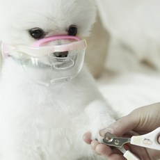 LUVLIV 狗狗透明嘴套, DCM-B-PK(莓果粉紅色), 1個