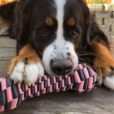 TallTails 狗用骨頭造型潔牙玩具 22.86cm, 粉色的, 1個