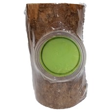 甲蟲單孔果凍皿 圓棒型 A-A114, 單一顏色, 1個